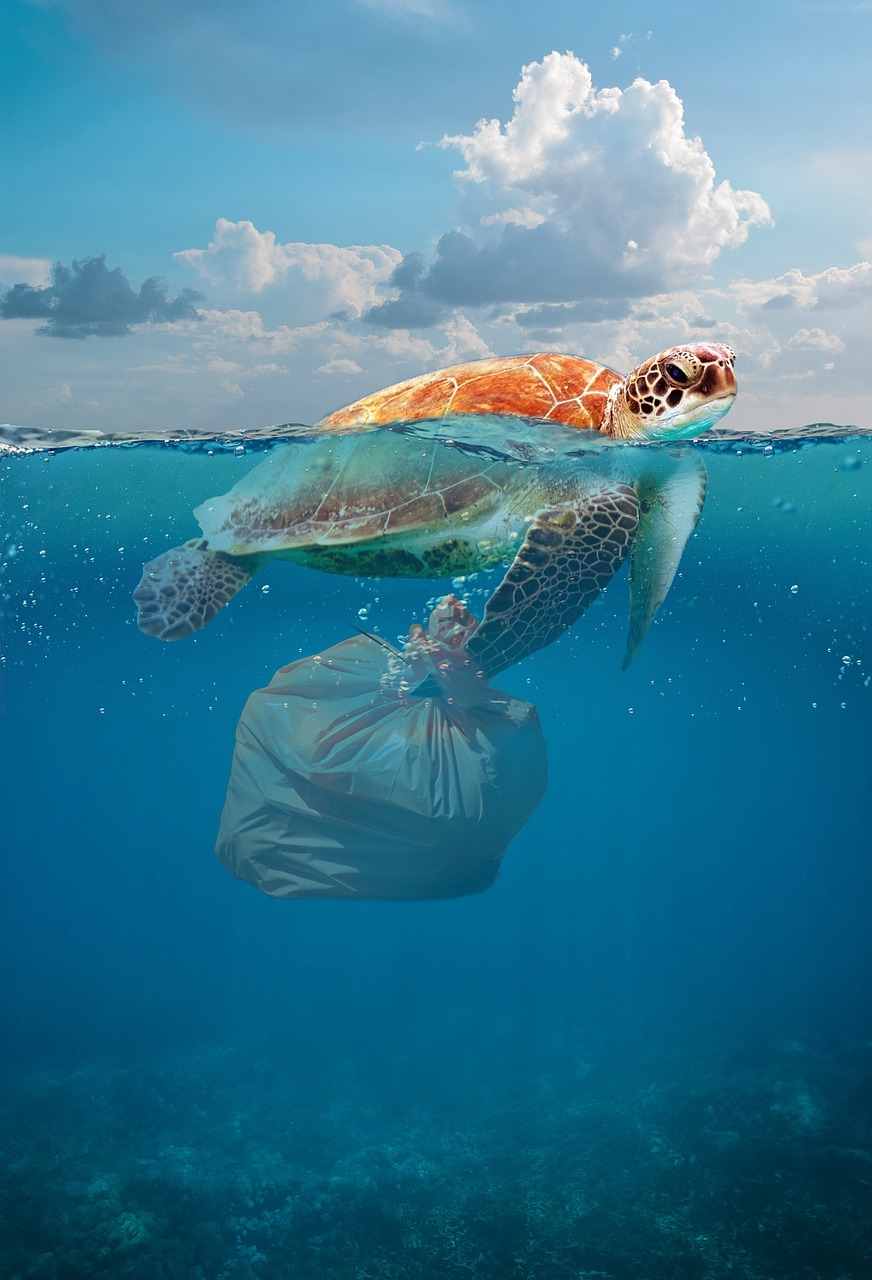 Ocean Plastic Crisis